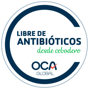 certificados-11.jpg