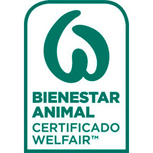 certificados-2.jpg